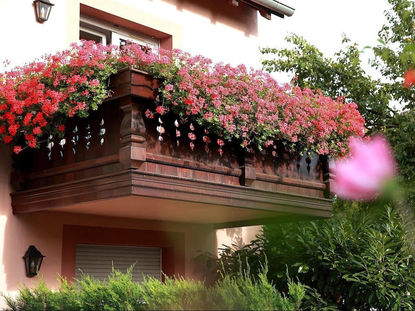 Les Portes De La Vallee Turckheim Ngoại thất bức ảnh